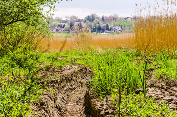 Obraz premium Traces of wheels on a muddy road through the forest in Petrovaradin, Novi Sad, Serbia