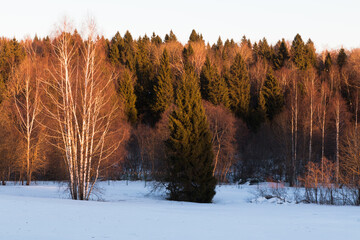 winter landscape five