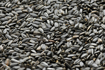 sunflower seeds background, closeup of roasted seeds