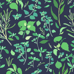 Seamless Pattern with the Five Culinary Herbals