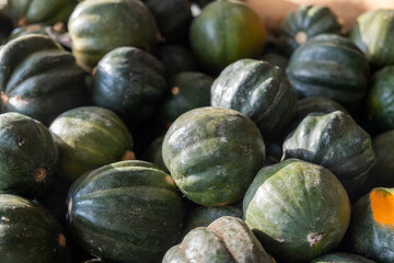 Lot of chestnut pumpkins sold on farmers market