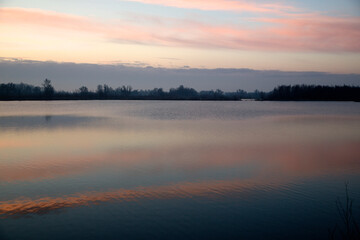 Fototapeta premium Early morning in Biesbosch National Park, North Brabant, Netherlands