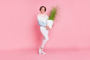 Photo portrait full body view of girl with house plant in pot isolated on pastel pink colored...