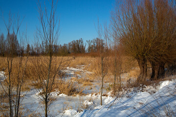 Snow and ice in Biesbosch National Park, North Brabant, Netherlands