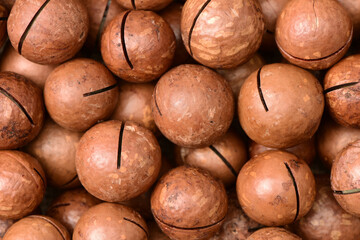 Shelled and unshelled macadamia nuts on white background