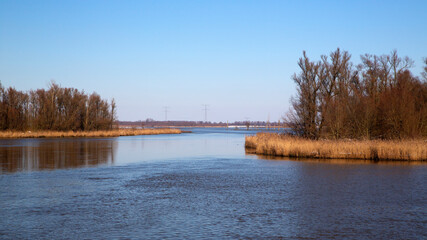 Nature restoration in Biesbosch National Park, North Brabant, Netherlands