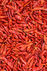 dry red pepper background