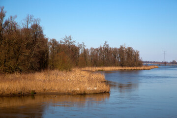 Nature restoration in Biesbosch National Park, North Brabant, Netherlands