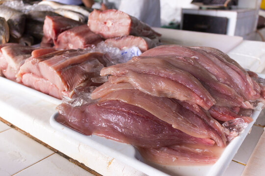 Raw fresh Guaivira fish fillet. Fish found on the coast of Brazil.
