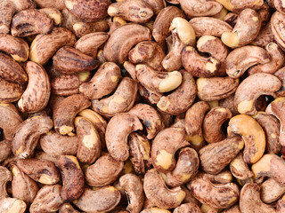 Cashews nut background