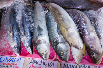 Fish preserved in the ice of the fish market. Fish Boyfriend, Fish Anchovy and Fish boyfriend.