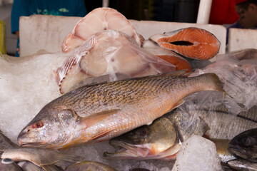 Fresh fish whole and in the fish market.