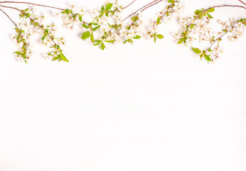 Blossoming cherry branches on a white wooden background.