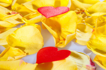 Romantic sketch: yellow rose petals and a red hearts