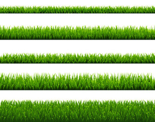 Green Grass Set Isolated White Background, Vector Illustration