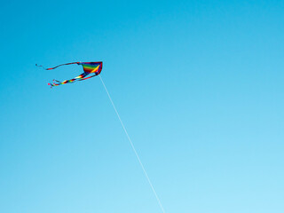 Kite