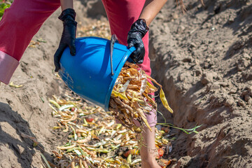 Young woman pouring organic waste into a compost pit from a plastic bucket. Household food waste....