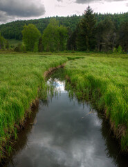 Bief du lac des Rousses, Jura, France