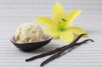 Fresh scoop of vanilla ice cream with vanilla pods and blossom