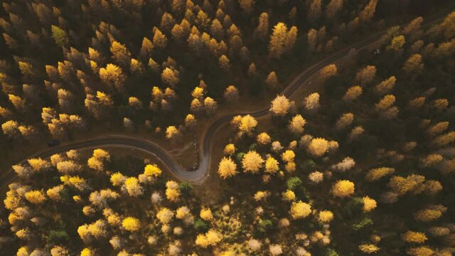 aerial shot of  Italian Dolomites with autumn trees, panning from forest to  gorgeous panorama of Dolomites