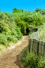 Sentier c&ocirc;tier en Baie de Somme. Picardie. Hauts-de-France