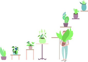 Young woman holding plant in flowerpot on white background. Illustration can be used for gardening, home planting and farming