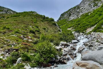 Fototapeta na wymiar Fiume e bellissimo panorama dal sentiero che porta al rifugio segantini nella val Nambrone in Trentino, viaggi e paesaggi in Italia