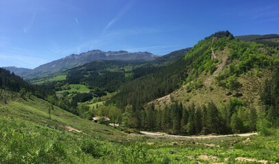 landscape in the mountains