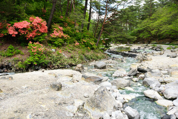 草津温泉　西の河原公園　春の景色