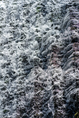 Fresh water from a river runs down some steps that form a dam.