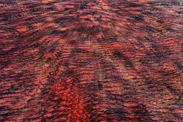 Spots gray red background. Background fill. Panel texture.