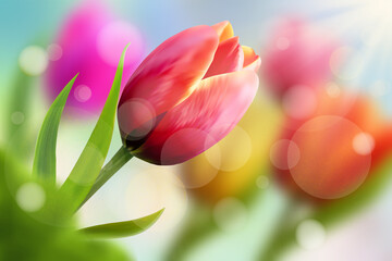 Bright vector tulips. Vector spring background. Bokeh effect, sun rays.