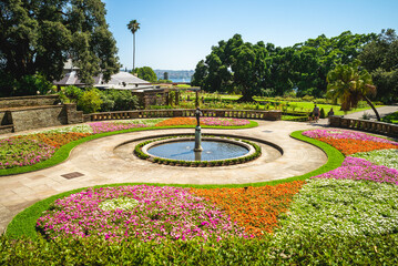 Obraz premium scenery of Royal Botanic Gardens in sydney, australia