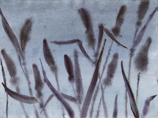 Reeds in the dark. Watercolor illustration of cattail.