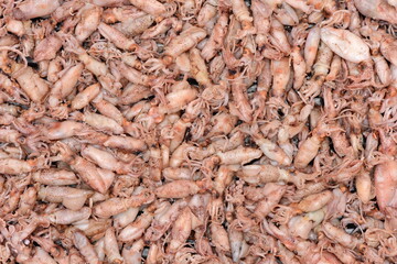 Dried Squid background