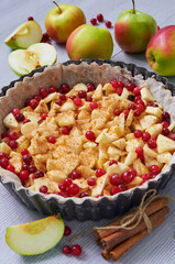 Apple tart in the baking dish decorated with fresh apples, cranberry, cinnamon sticks on the gray kitchen background. Autumn pie with raw ingredients. Side view