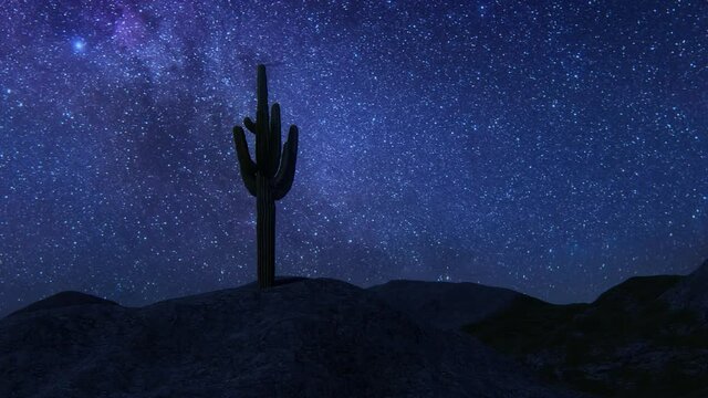 Cactus night Beautiful desert landscape glorious view 4k