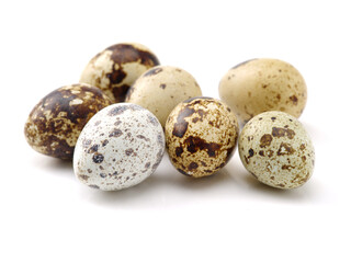 quail eggs on white background