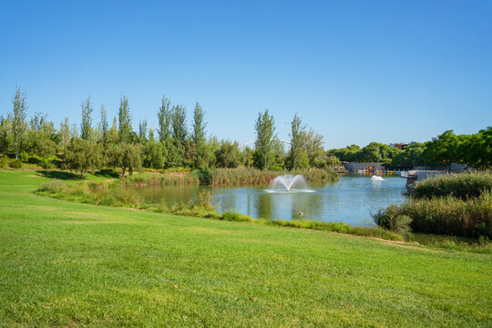 River Turia, Valencia, Spain. Lush green public garden known as "el r&iacute;o" with an artificial pond. 