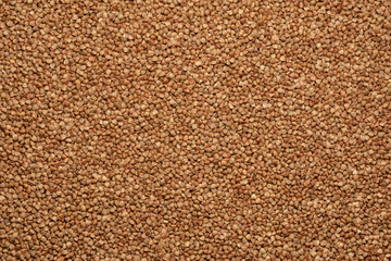 background of buckwheat, top view