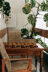 Recreation area with checkers on the table and indoor plants.Home gardening.Houseplants and urban jungle concept.Biophilia design.Selective focus with shallow depth of field.