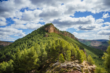 Fototapeta na wymiar Mountain covered by a lush pine forest and sky with white clouds that reveal the blue