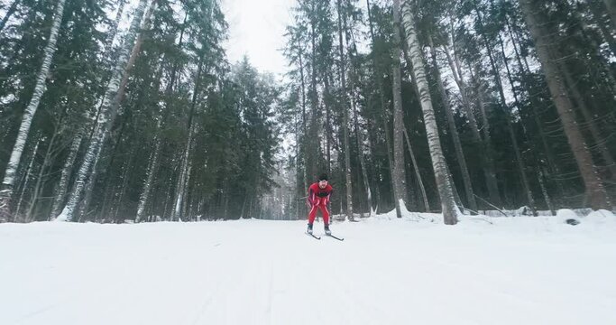 Skier falls hard. Young man in red ski suit skiing downhill on the cross country ski track and suddenly falls at high speed