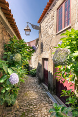 Picturesque street decorated with lush green plants. Building facades and street made with stones. Trancoso, Portugal. 