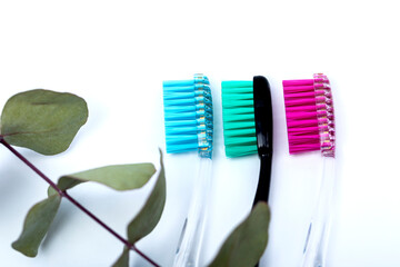 Toothbrushes on a white table are arranged in a row and eucalyptus.