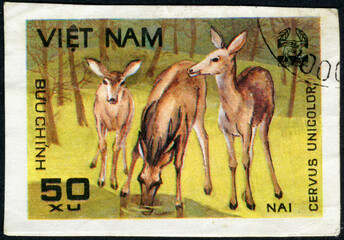 VIETNAM - CIRCA 1981: A stamp printed in Vietnam shows Sambar (Cervus Unicolor)
