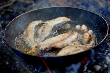 Autumn fishing, cooking fish over a fire.
