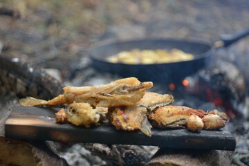 Autumn fishing, cooking fish over a fire.
