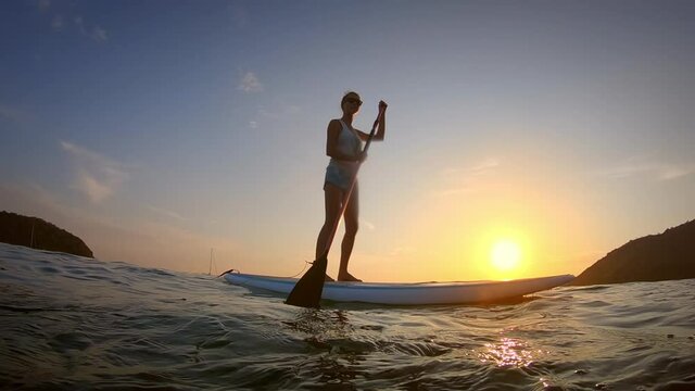 Sup surfer. Young woman surf SUP board in the tropical sea at sunset