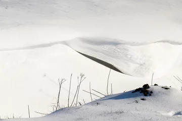 Foto auf Leinwand Duintje van sneeuw © photoPepp